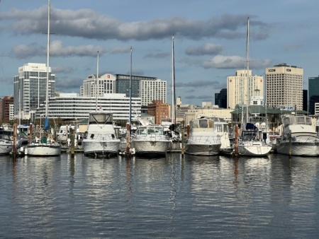 Our Marina 