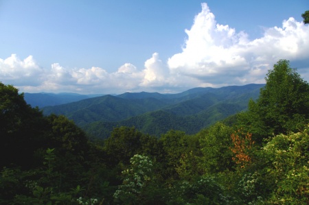 Big Witch Overlook View