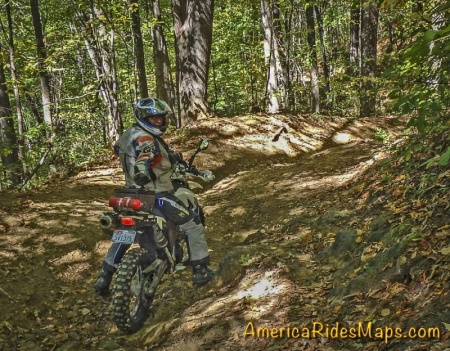 Wesley Creek Road