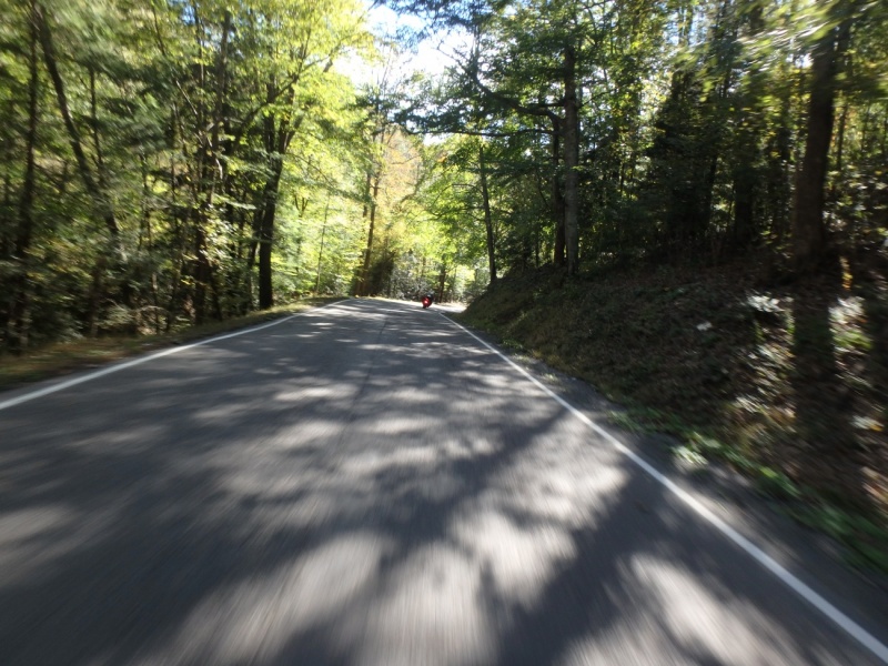 WV 638 - Dismal River Rd