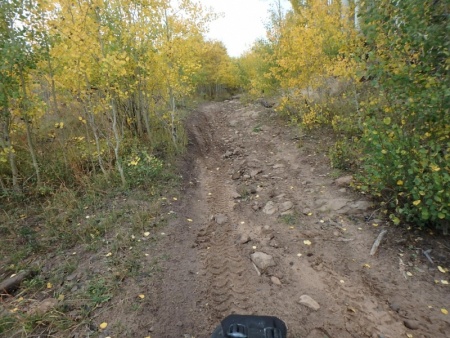 Another Jeep Trail
