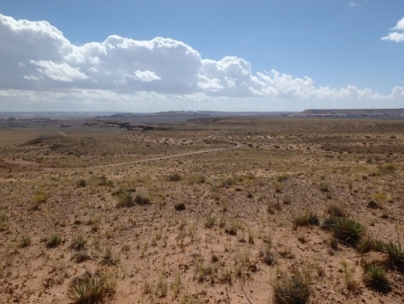 Off into the distant Desert