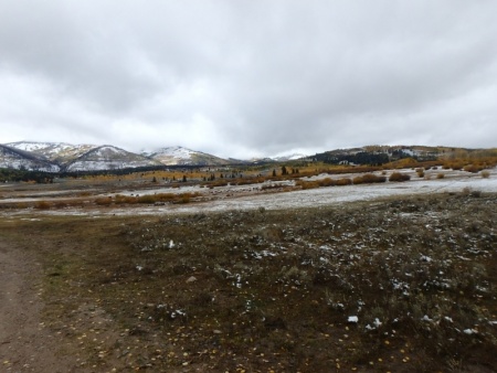 A View