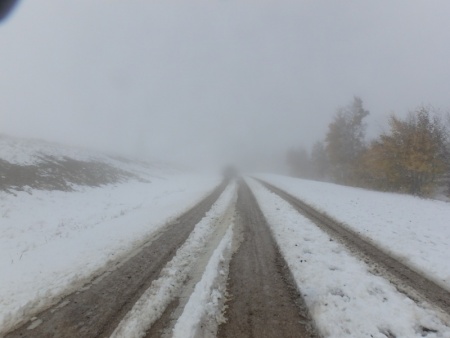Near White Out