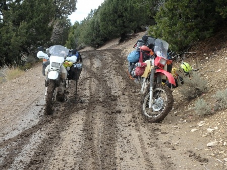 More TAT Riders turning around.