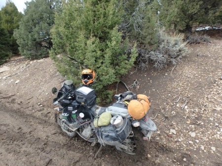 KLR650 - I should have noticed the rear wheel.
