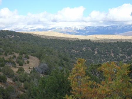 Snow on Distant Mountians