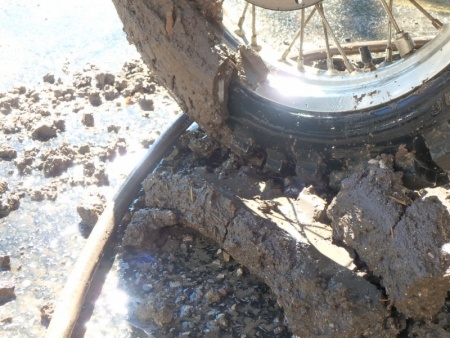 Mud Sculpture