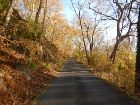 This road was nuts!