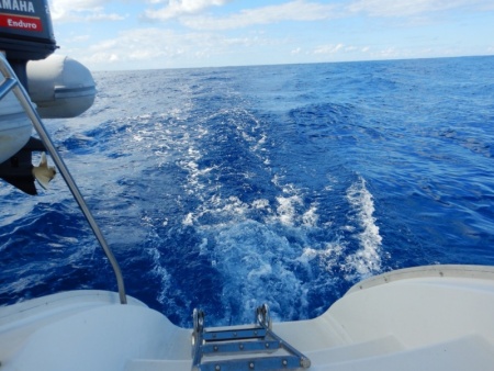Blue Ocean