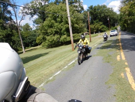 Grass in the Road