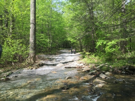 Water Crossing Frederick Municipal Watershed