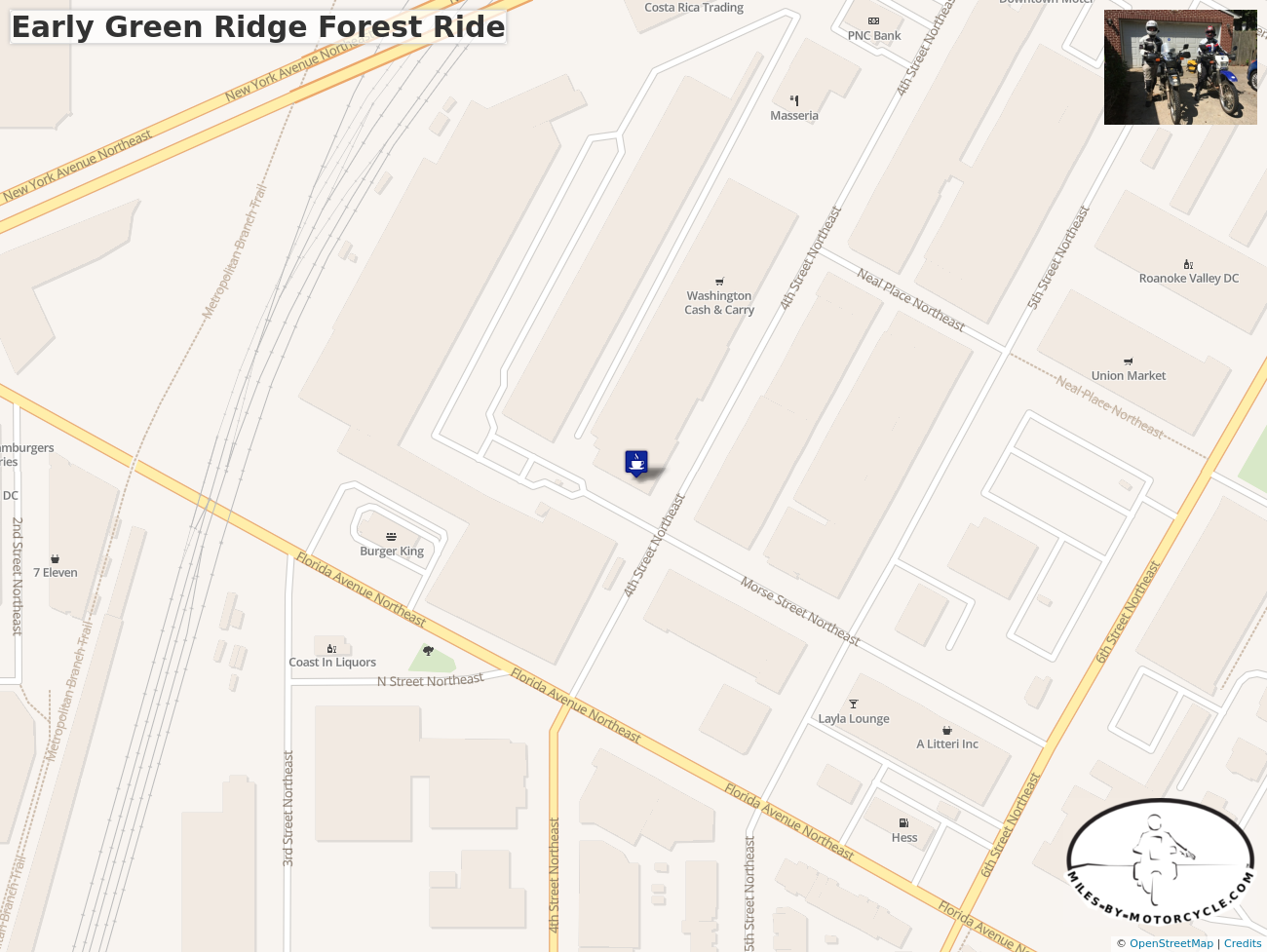 Early Green Ridge Forest Ride