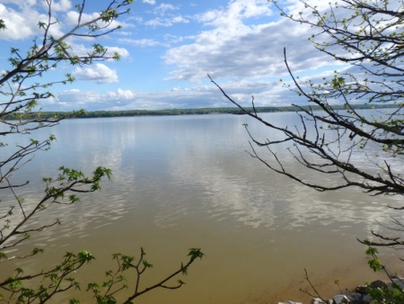 The Potomac River in Southern Maryland
