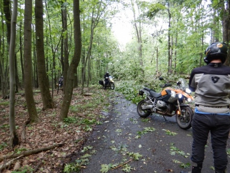 Downed trees were a recurring theme.