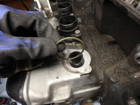 Throttle Body O-Rings