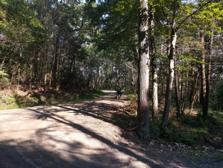 The bend in the Michaux