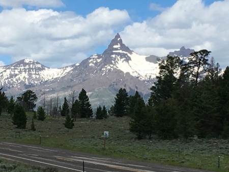The Bear Tooth