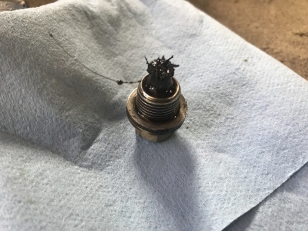 Oil and Filter Change - 35854