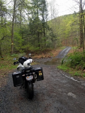 Rough Run Road 