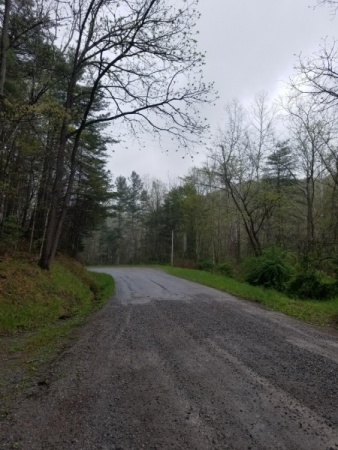 Little Dry River Road 
