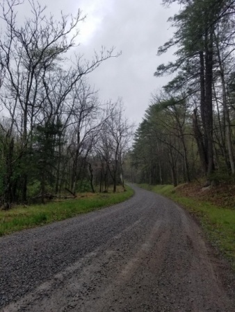 Little Dry River Road 