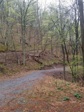 Rough Run Road 