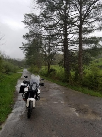 Rough Run Road 