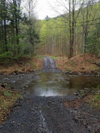 Rough Run Road 