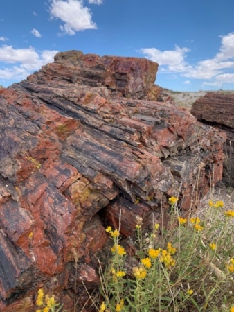 Petrified Forest National Park, Arizona