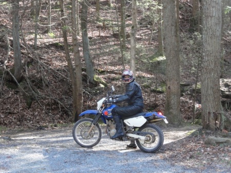 Gravel Roads and Buffalo's 2005 DR650SE