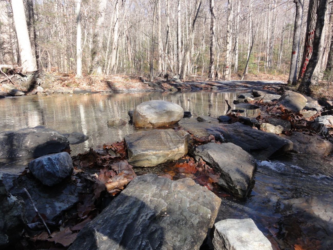 Water level view.