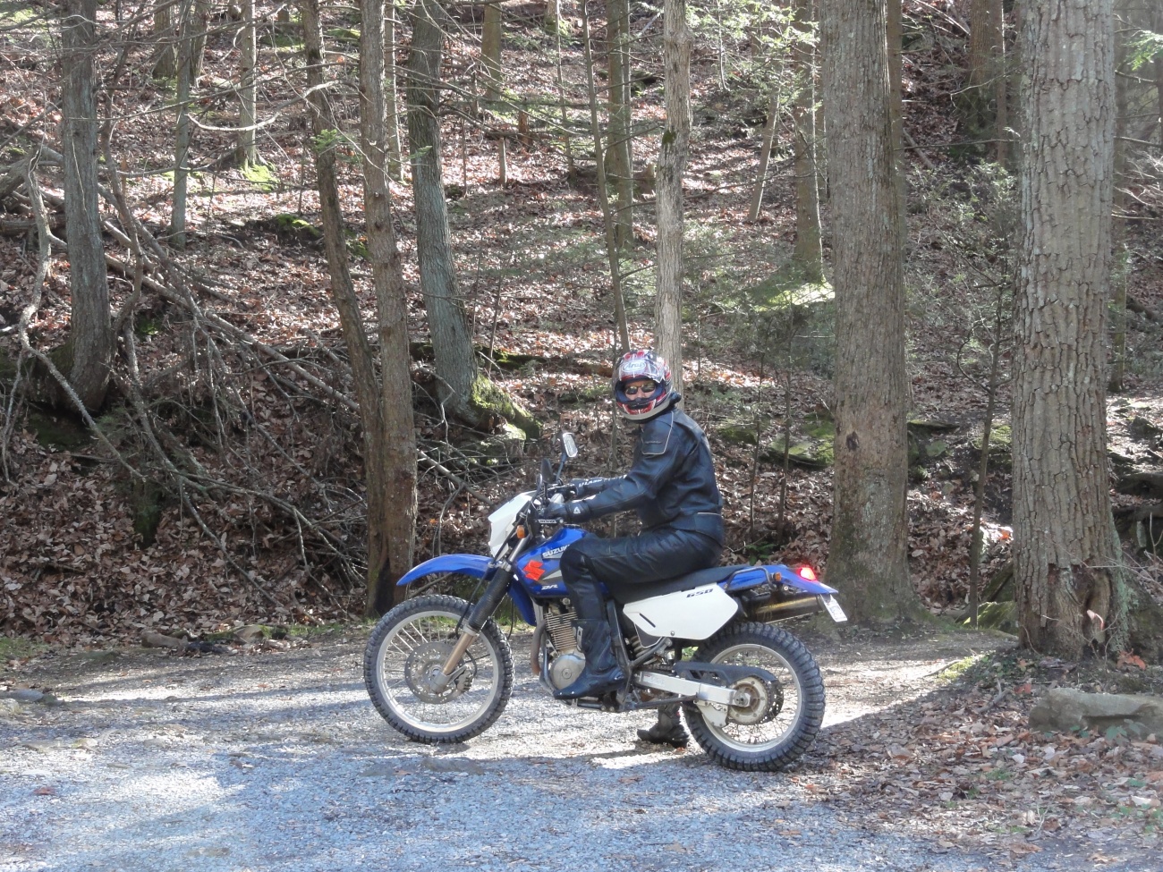 Buffalo and his 2005 Suzuki DR650SE