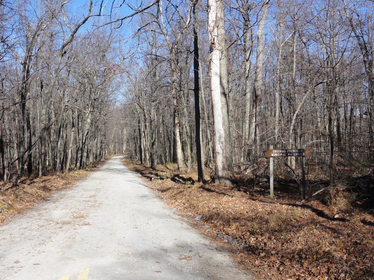 Gravel Roads