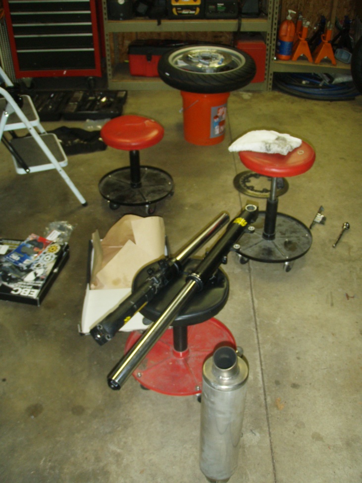 Racetech redone forks.