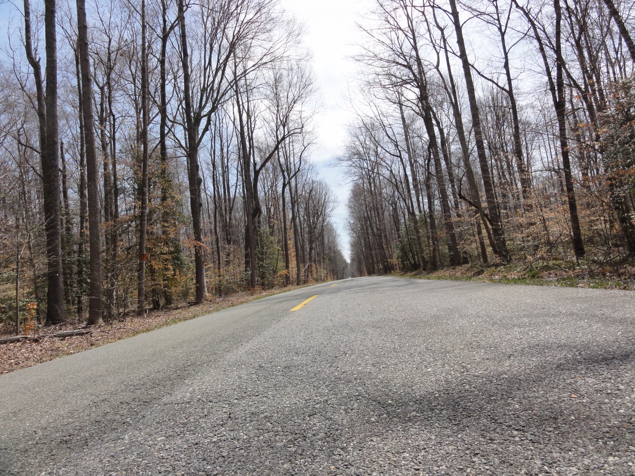 Route 234 asphalt perspective