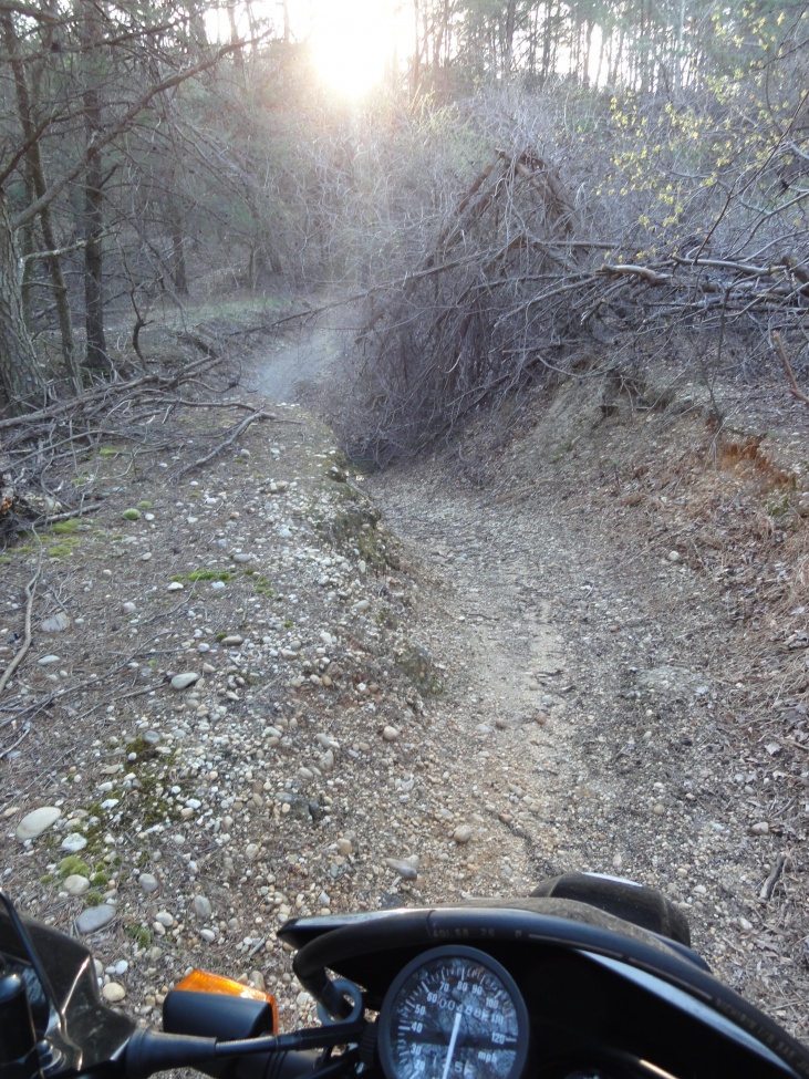 A little gulley