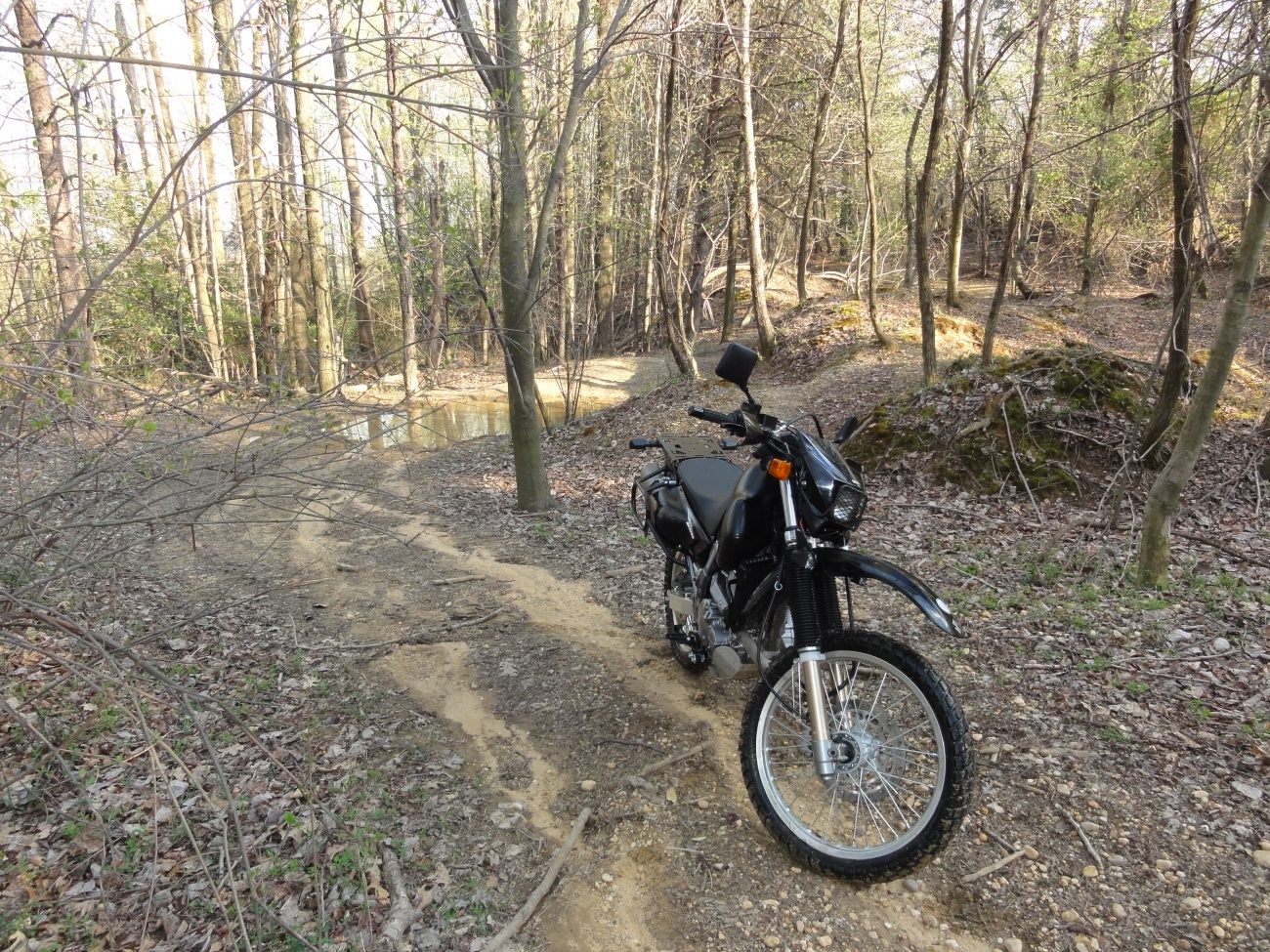 It seemed like such a reasonable trail.
