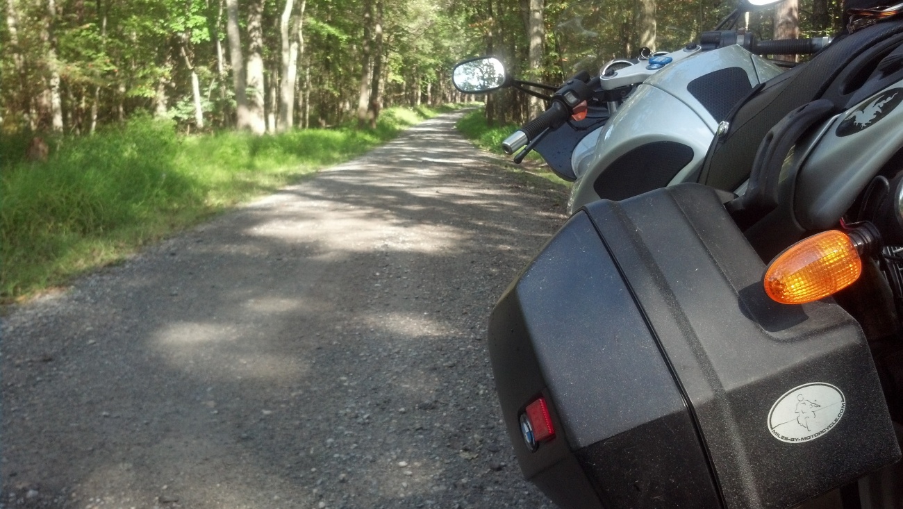 Beautiful Road deep in the woods.