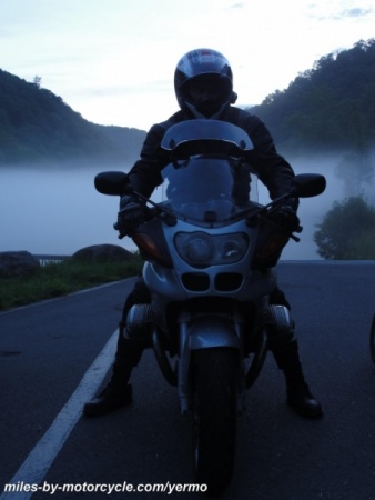 Bruce in the Mist at Dusk