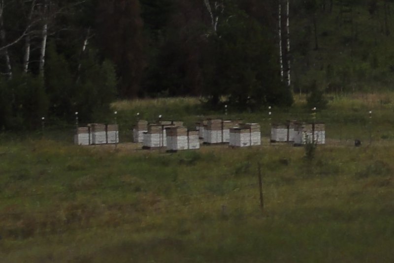 DSC07033.JPG