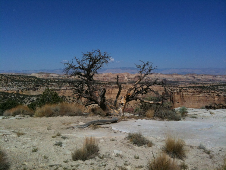 beautiful_view_from_i_70_in_eastern_utah.jpg