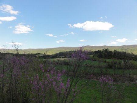 DSC05306.JPG