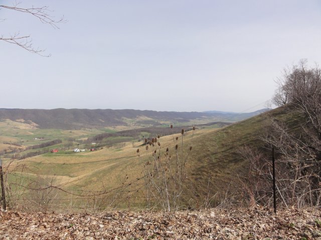DSC07944.JPG