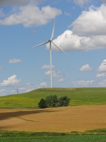 4_windmill.jpeg