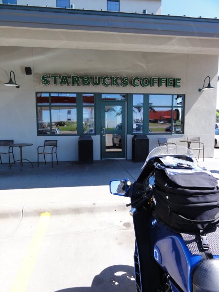 7_starbucks.jpeg