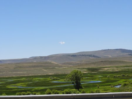 15_river.jpeg
