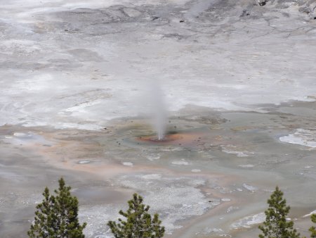 16_minigeyser.jpeg