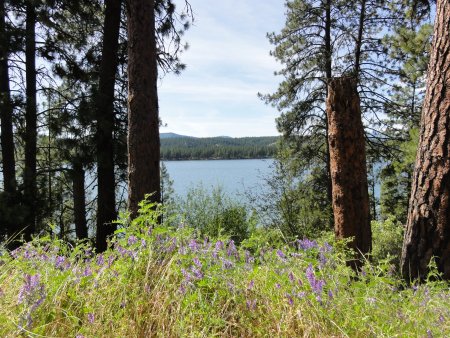 4_lake.jpeg