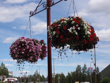 14_flowers.jpeg